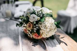 BAF BeppeAcaciaFotografa - 19