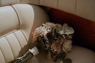 Narciso - 6
