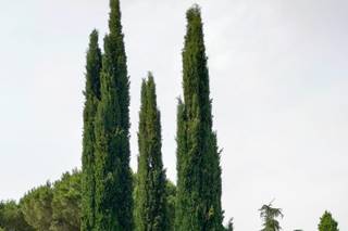 Casale Aderio - 6