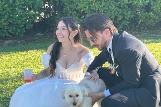 Luca Family Dog's - 9