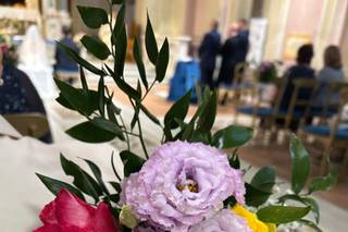 Piante e Fiori di Astolfi Italia - 12