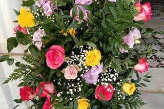 Piante e Fiori di Astolfi Italia - 13
