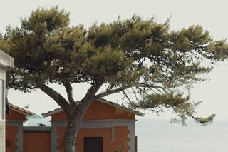 Scrajo Terme Hotel & Spa - 14