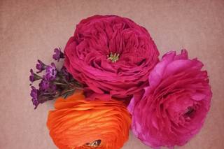 Victoria Flowers - 15