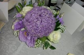 Il Giardino di Sara - 17