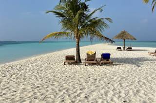 Dolcemente Viaggiare - 10