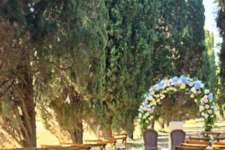 Gardenia di Paola Montanari - 14
