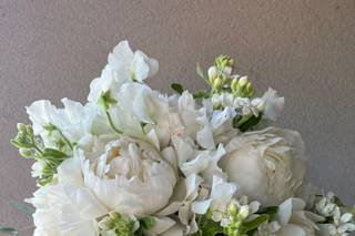 Gardenia di Paola Montanari - 15