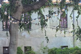 La Favola Reale - 8