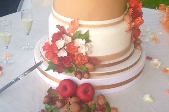 Torte Speciali Cake & Bakery 5