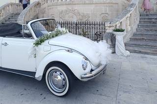 Auto da cerimonia Prinzivalli - 8