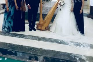 Paola Testa - Arpista - 7