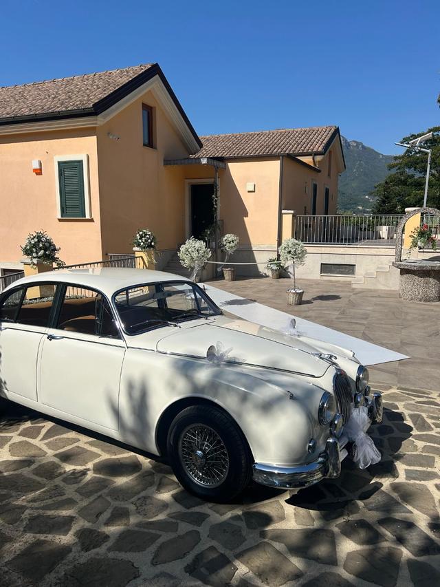 Maggiolino Wedding - 2