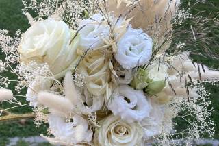 Montenero in Fiore - 22