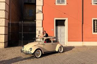 The Wedding Beetle - 10