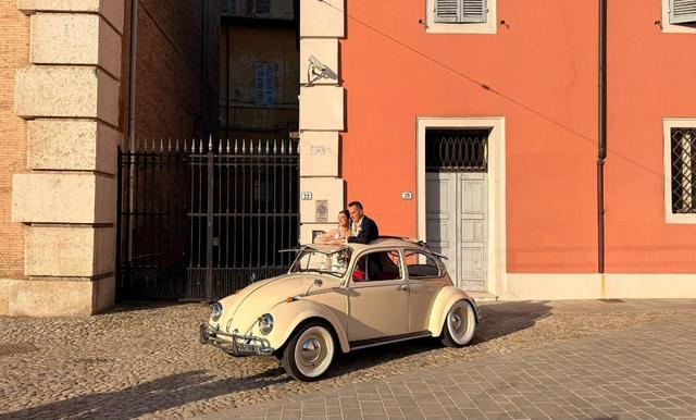 The Wedding Beetle - 3