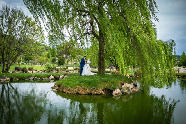 Ciani Photography - 1