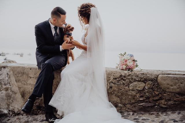 David Furfaro Photo - 1