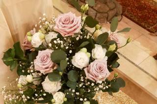 Vivaio La Camelia - 22