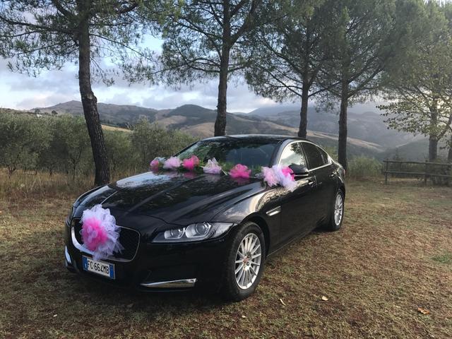 Noleggio Corti - 1