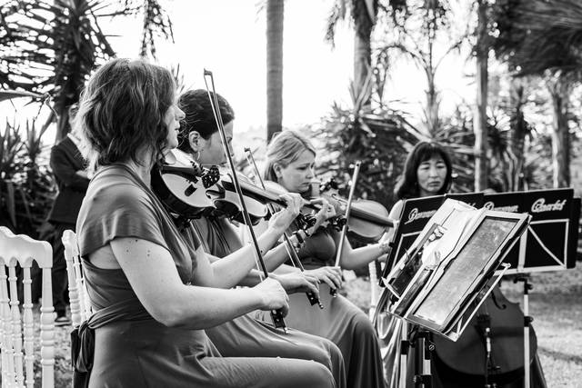 Dammen - Quartetto d'archi femminile 1