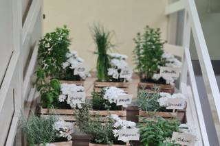 Fioricoltura Sorrentino - 1