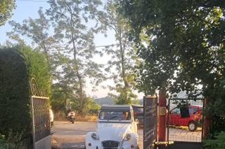 Pietro - Citroën 2CV PS - 2