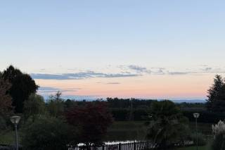 Antefora Ristorante - 6