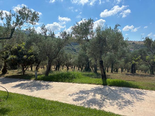 Agriturismo Costantino - 4