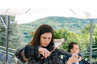 Julia Braff Violin - 4