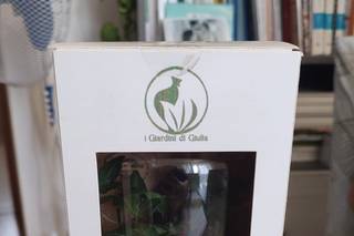 I Giardini di Giulia - 10