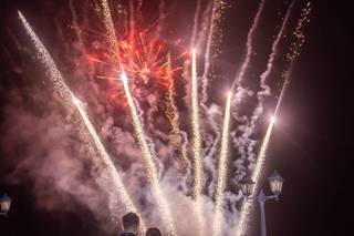 Villa del Parco - 14