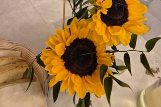 Cecilia Creations - 6