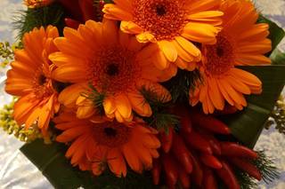 I Fiori di Barbara - 15