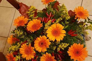 I Fiori di Barbara - 16