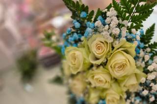 The Flower di Scanu Veronica - 10