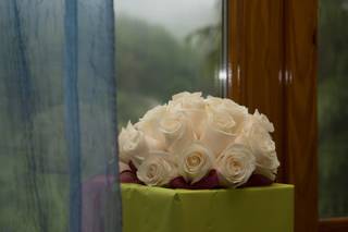 Butterfly Fiori - 16