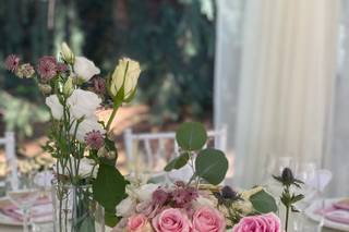 Villa Umberto 1896 - 6