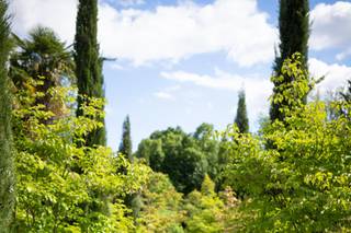 Marco Priarollo Photographer - 34