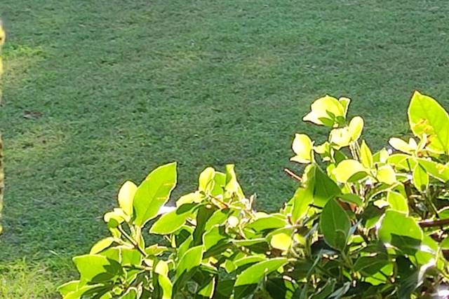 Villa Maggi Ponti 1