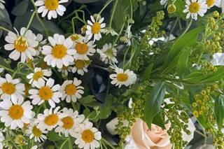 Petali Fiori e Forme - 13