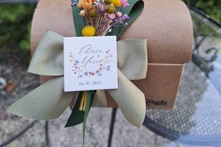 Leccornie sotto gli Ulivi - 5