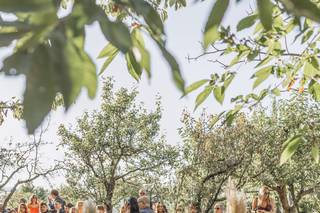 Il Laboratorio Fiorito - 5