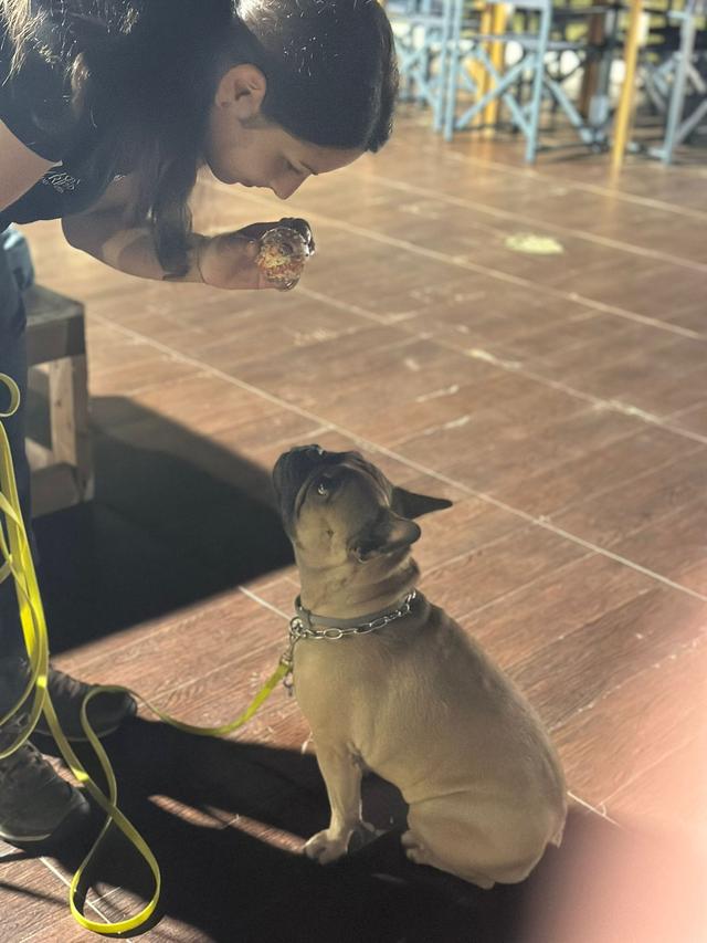 Asia's Friends Doggy Events - 3