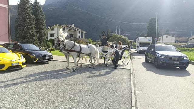 White Horse - 1