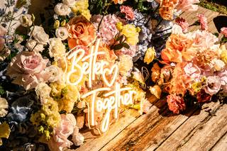 Virgo Events - 7