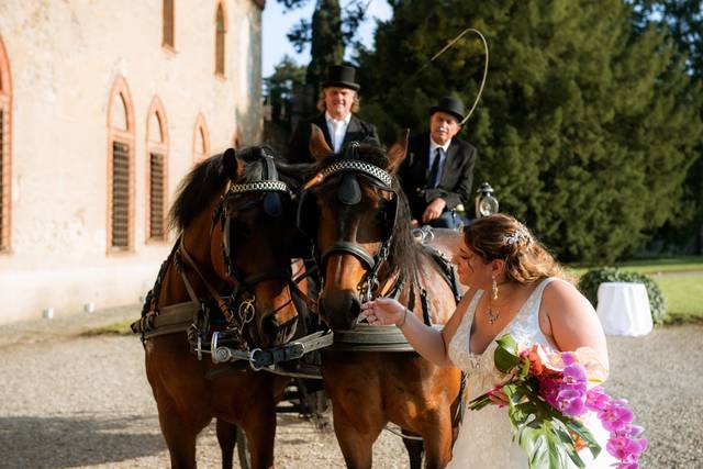 Cristian Sposi in Carrozza 5