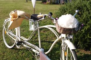 Tenuta La Tassera - 22