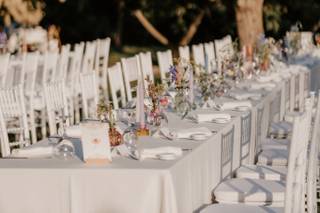 Beatrice Photography - 7