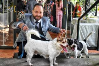 JL Dog Sitter for wedding - 7